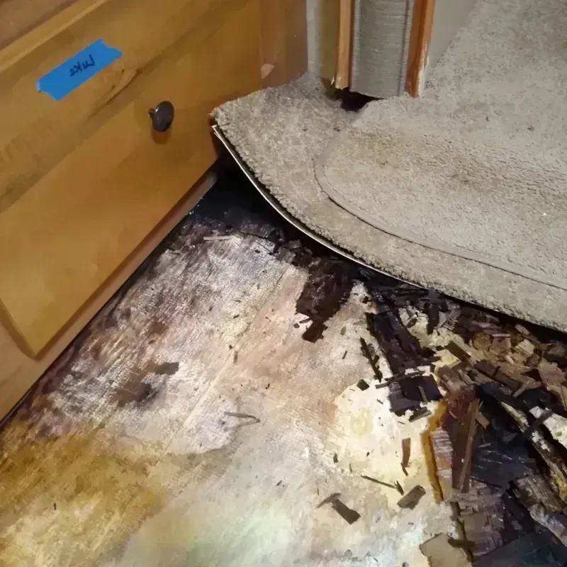 Wood Floor Water Damage in Oakland County, MI